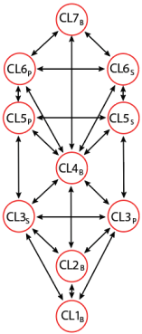 Blank Tree formed from a Hierarchy derived from a Spiral sequence  with M v F as the dynamic duality.